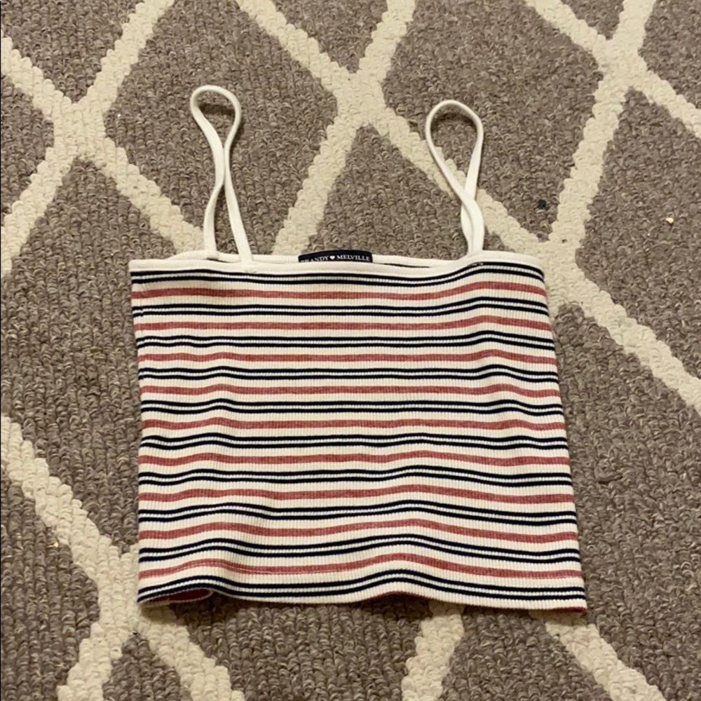 Striped Brandy Melville Cropped Tank